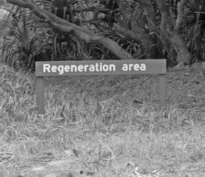Regeneration areas have been set up around D.I. to ensure that it remains a great location for many years to come.